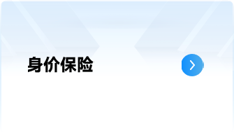 身价保险